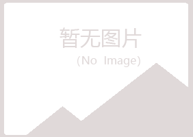 营山县岑迷钢结构有限公司